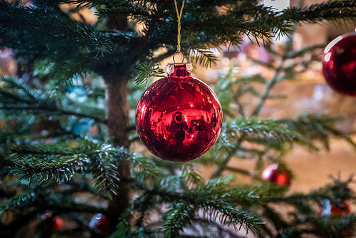 Red Christmas ornament on a Christmas tree