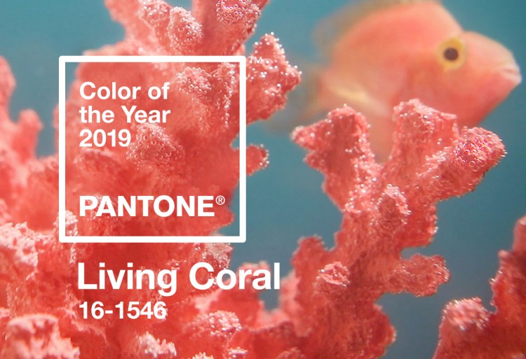 Living Coral - Pantone Color of the Year 2019